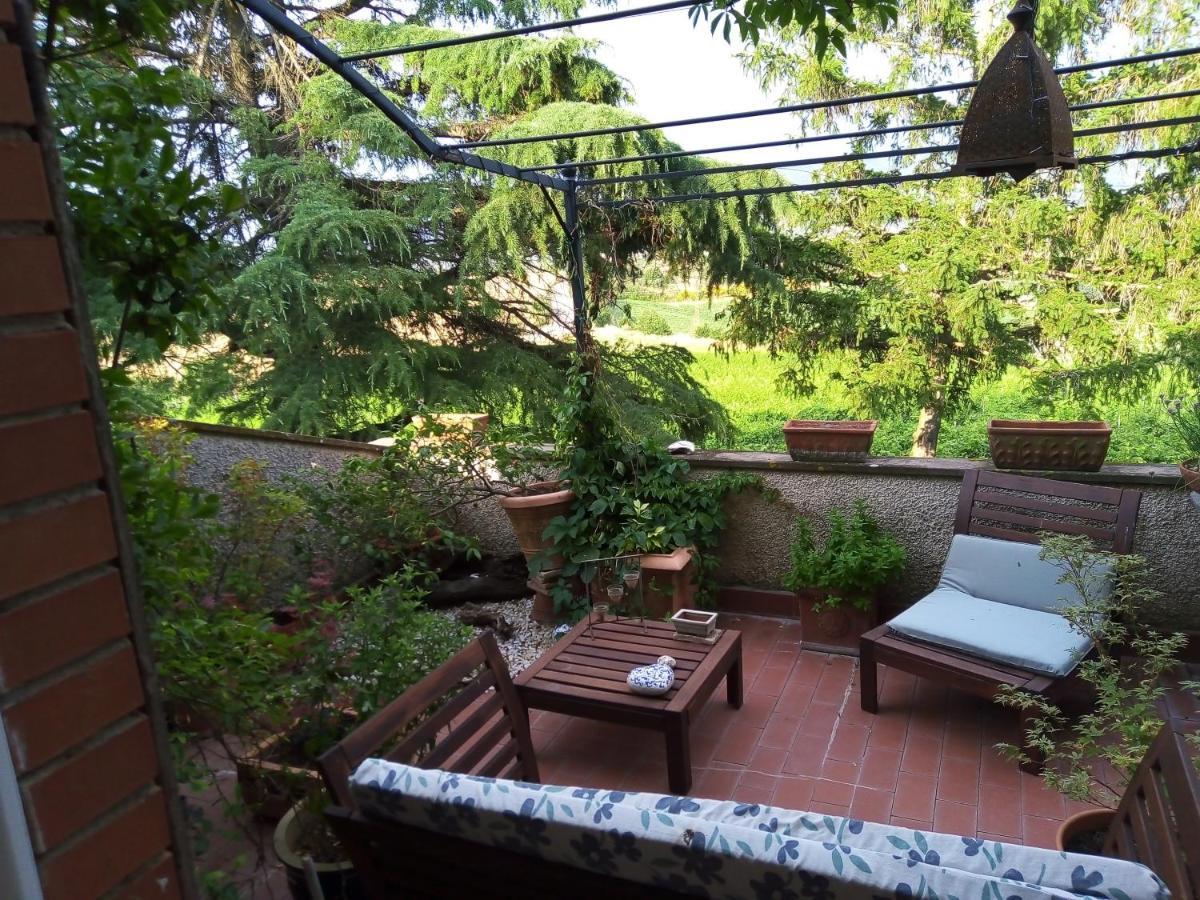 B&B La Gallinella Rossa Baschi Exterior photo
