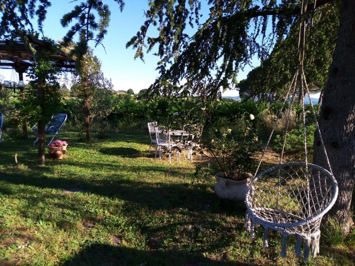 B&B La Gallinella Rossa Baschi Exterior photo