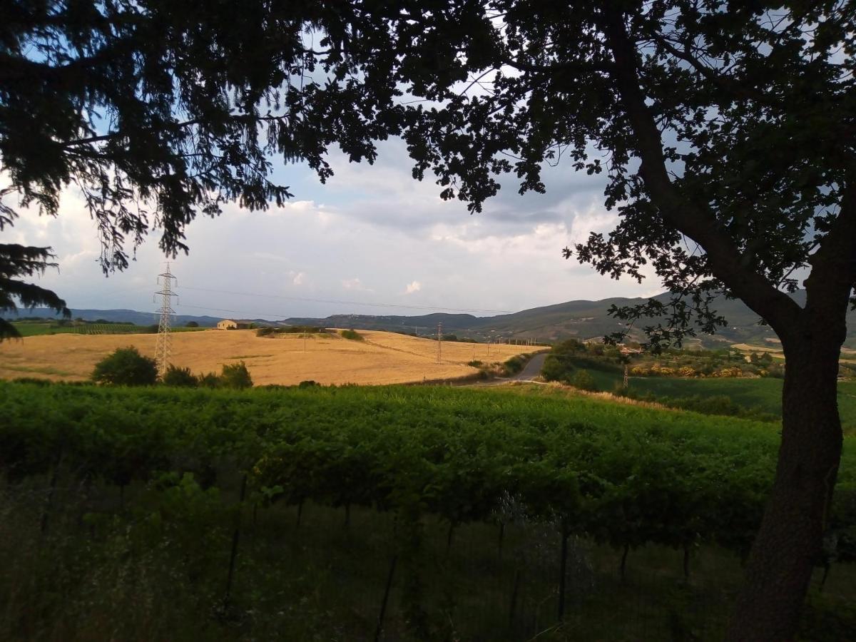 B&B La Gallinella Rossa Baschi Exterior photo