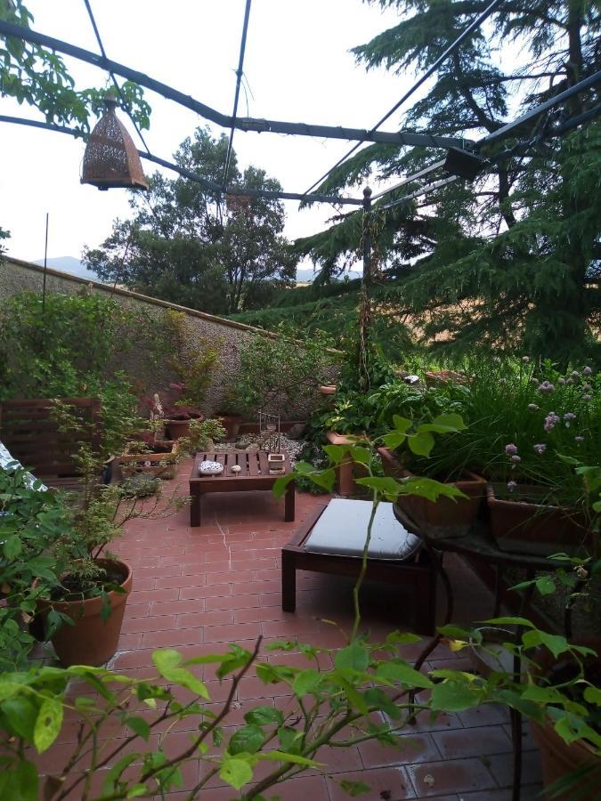 B&B La Gallinella Rossa Baschi Exterior photo