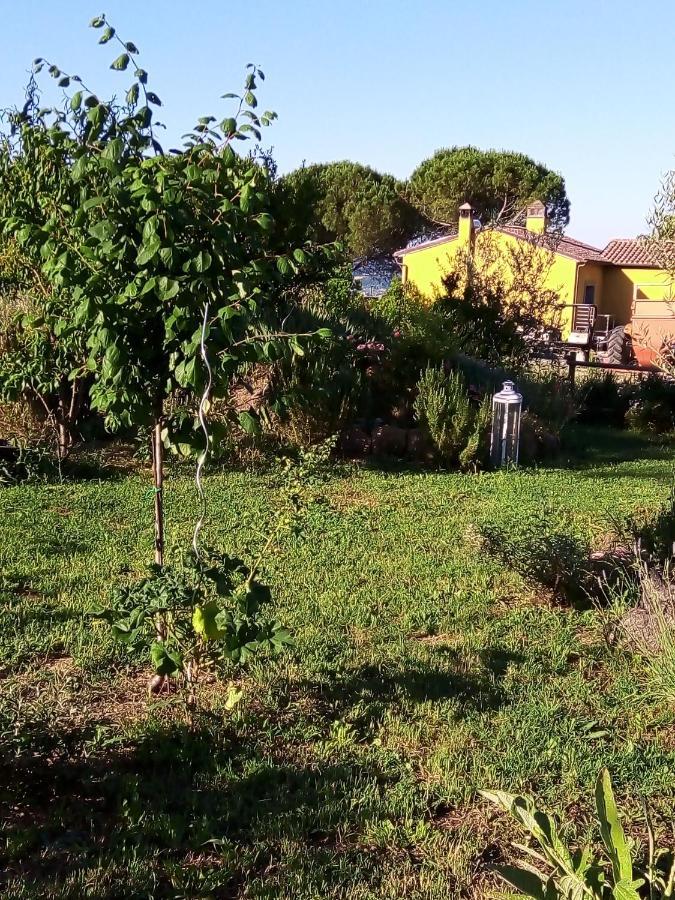 B&B La Gallinella Rossa Baschi Exterior photo